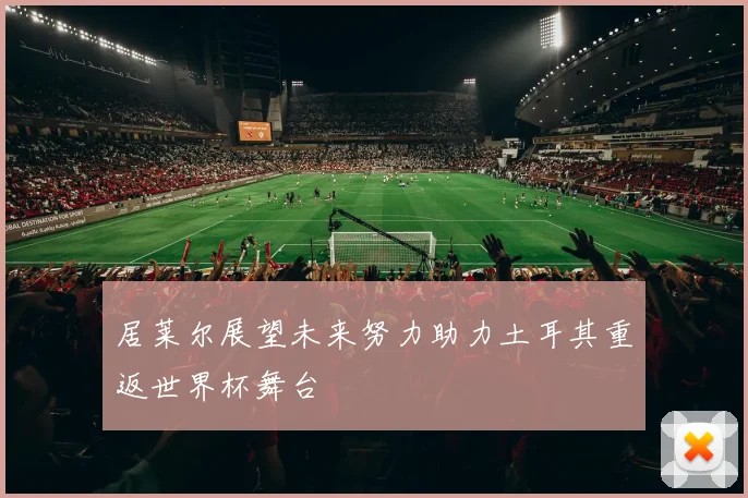 居莱尔展望未来努力助力土耳其重返世界杯舞台