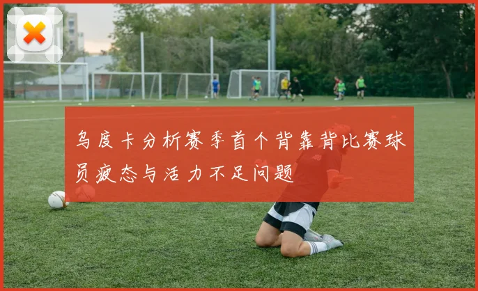乌度卡分析赛季首个背靠背比赛球员疲态与活力不足问题
