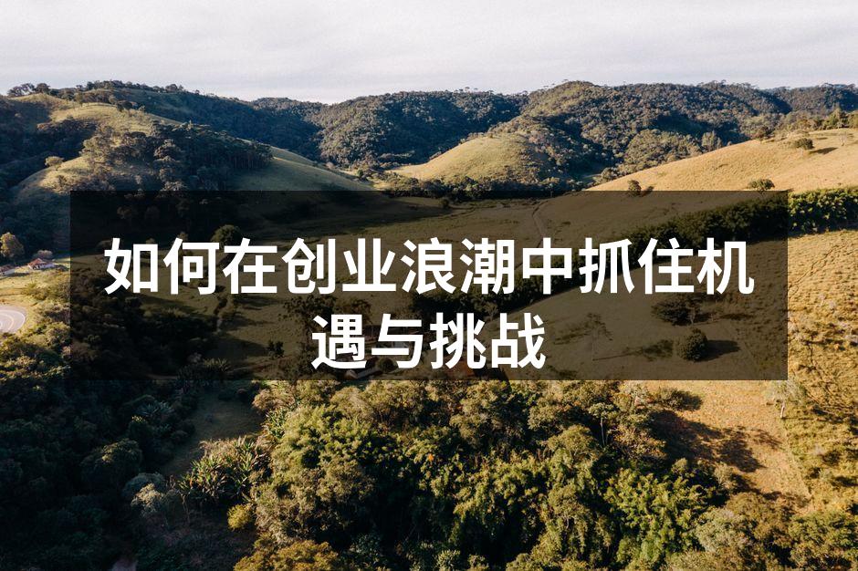 如何在创业浪潮中抓住机遇与挑战