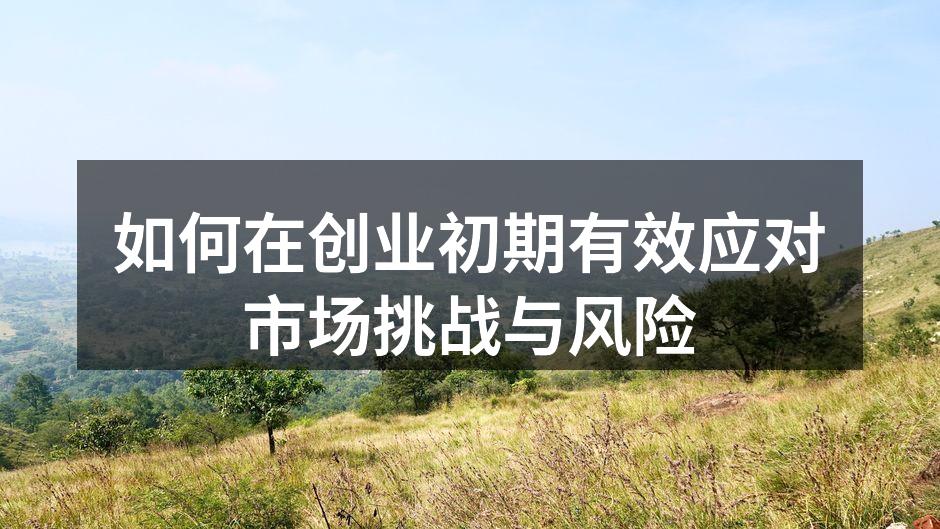 如何在创业初期有效应对市场挑战与风险