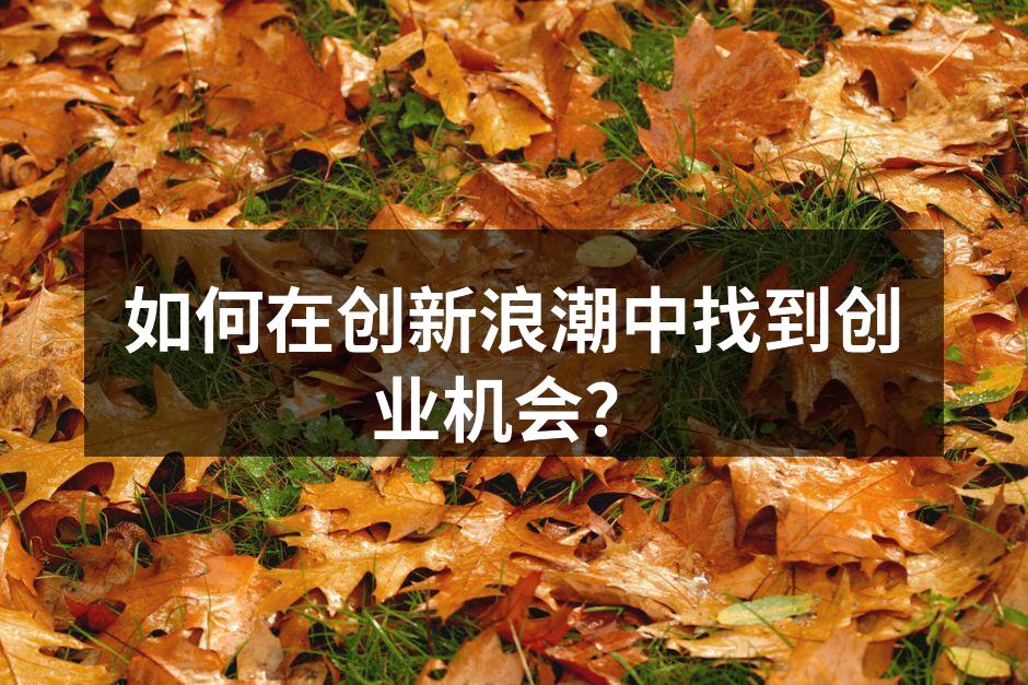 如何在创新浪潮中找到创业机会？